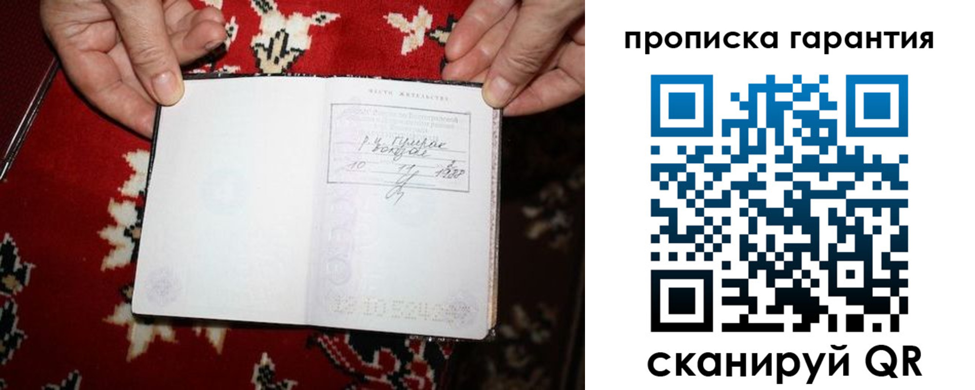 прописка гарантия в Черноголовке
